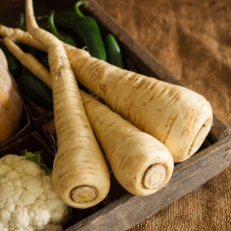 Parsnips