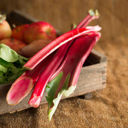 Rhubarb