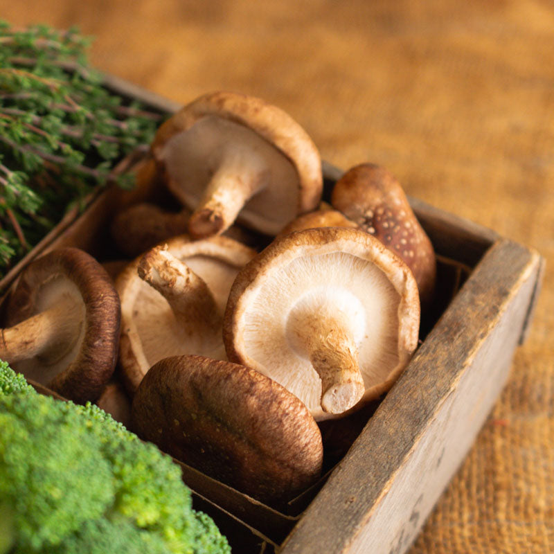 Shiitake Mushrooms