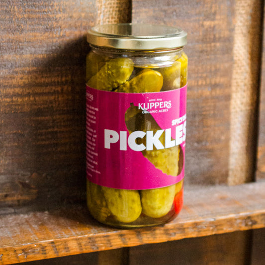 Spicy Dill Pickles