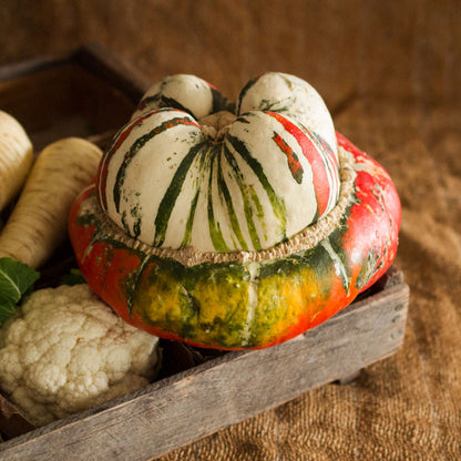 Turban Squash
