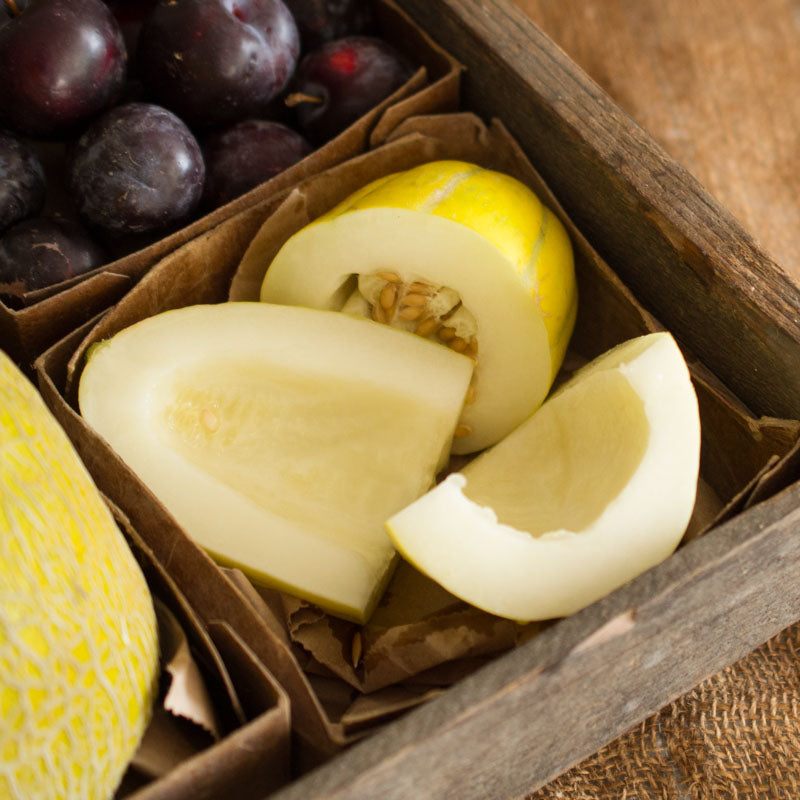 Sun Jewel Melon