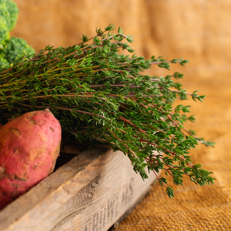 Thyme