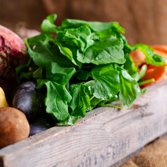 Arugula