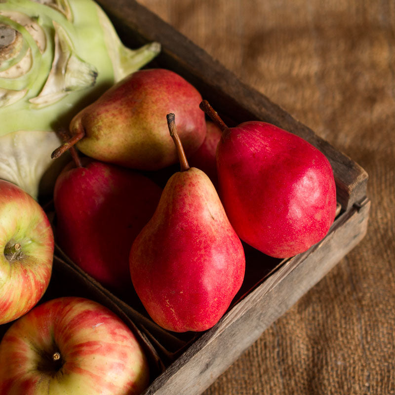 Red Anjou Pears