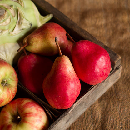 Red Anjou Pears