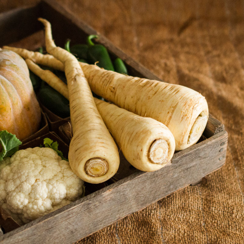 Parsnips