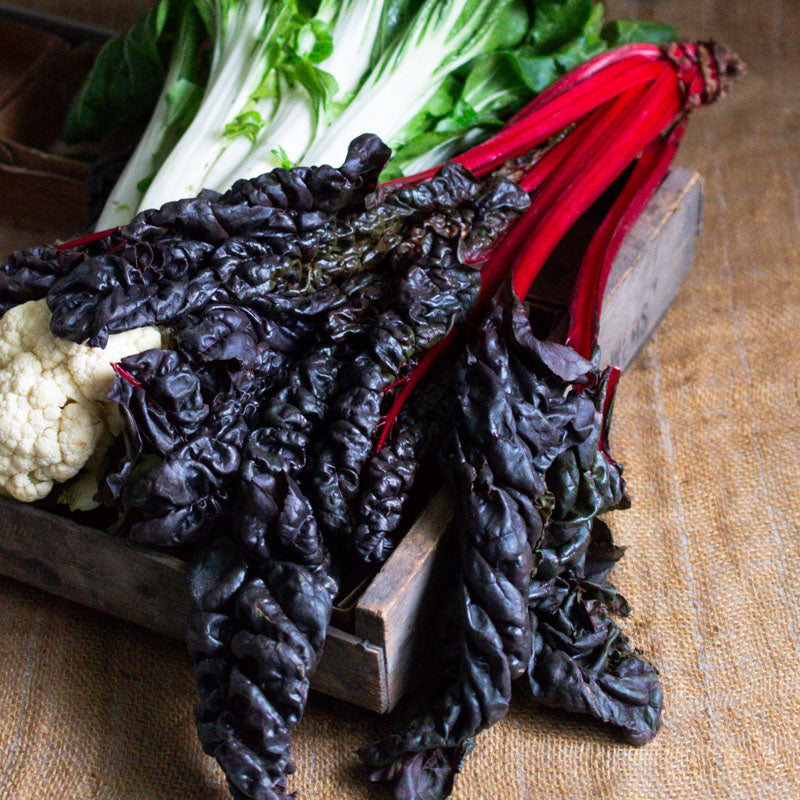 Swiss Chard