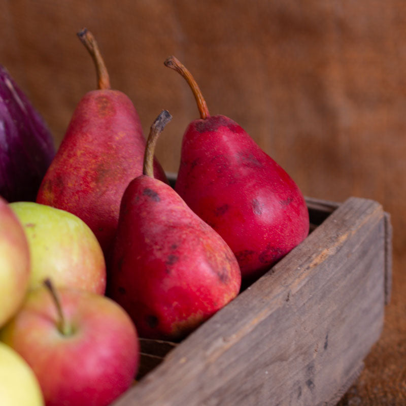Star Krimson Pears