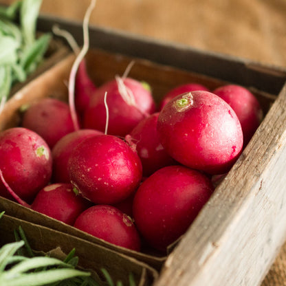 Radishes