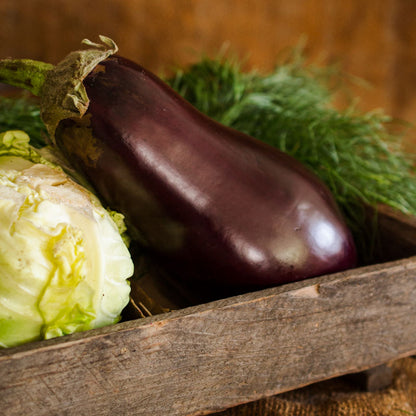 Eggplant