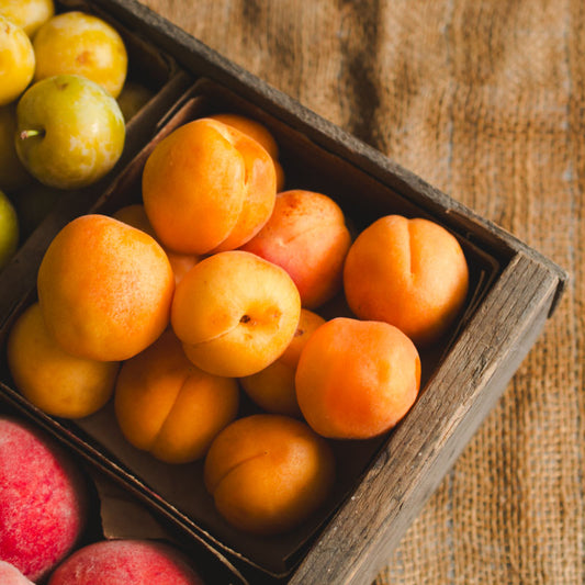 Apricots