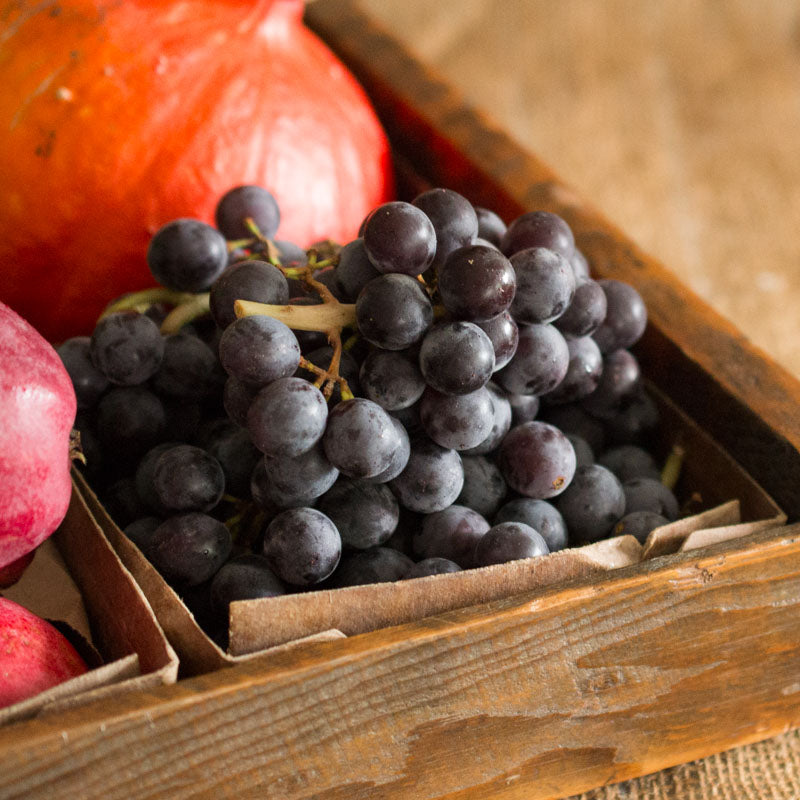 Coronation Grapes