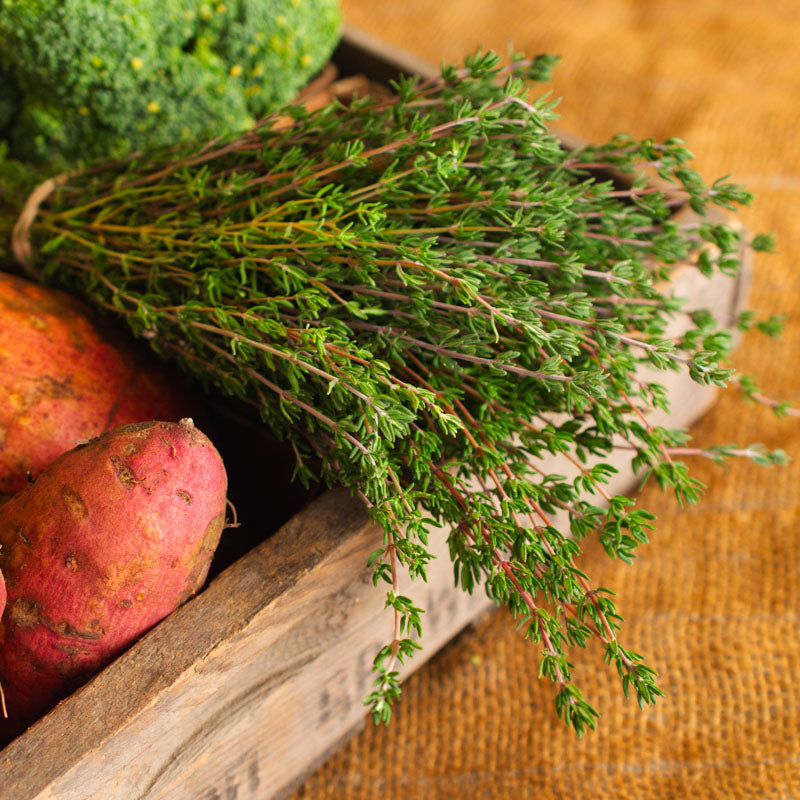 Thyme