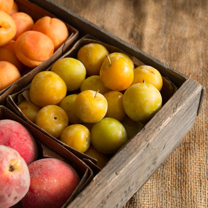 Amber Plums