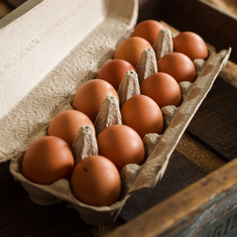 Pasture-Raised Organic-Fed Eggs - Dozen