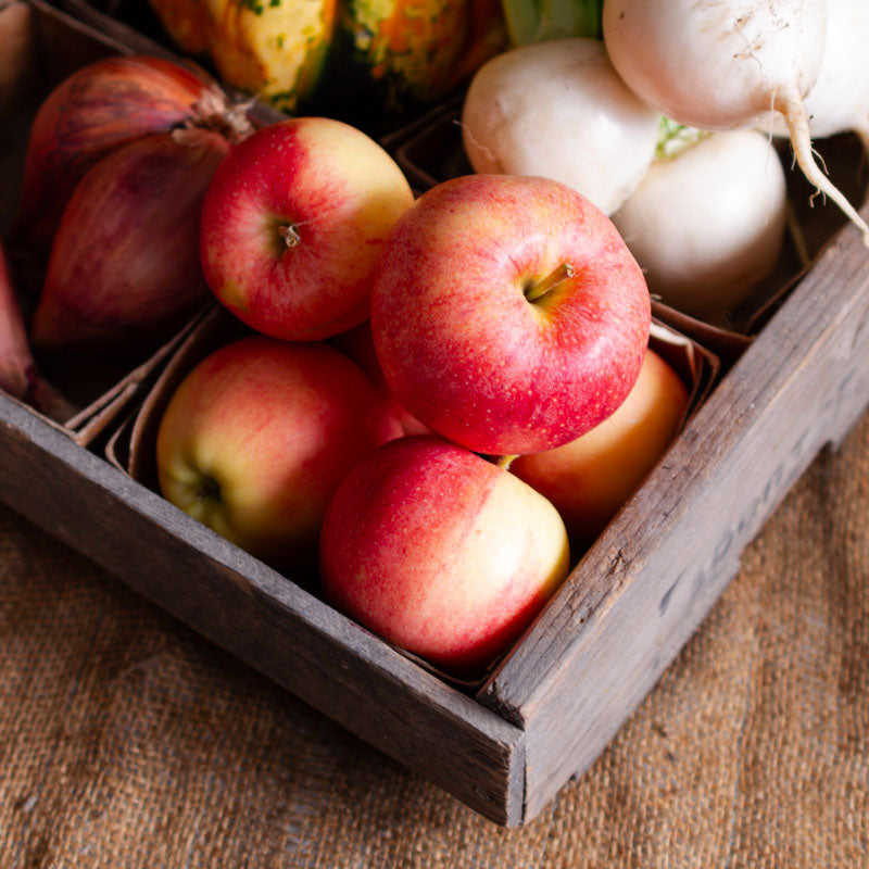 Gala Apples