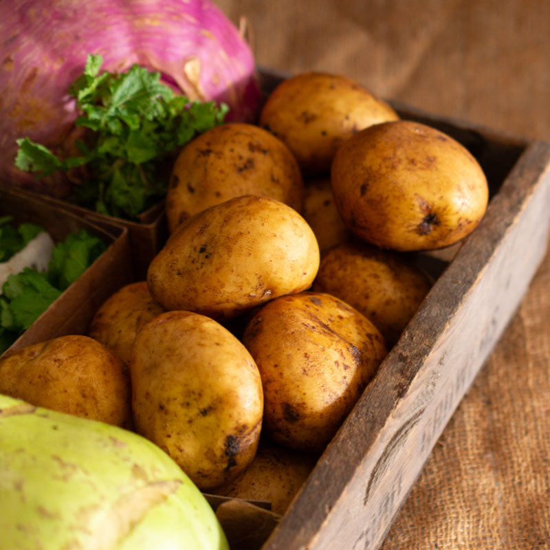 Yukon Gold Potatoes