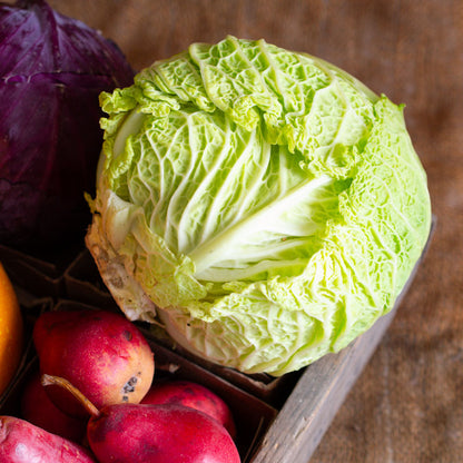 Savoy Cabbage