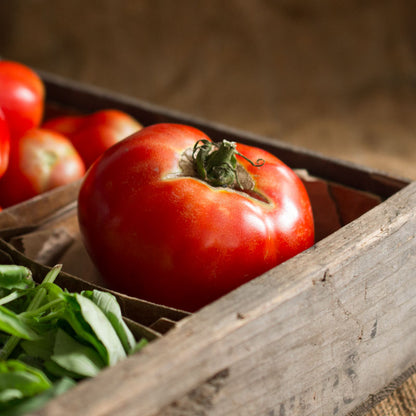 Beefsteak Tomato