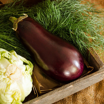 Eggplant
