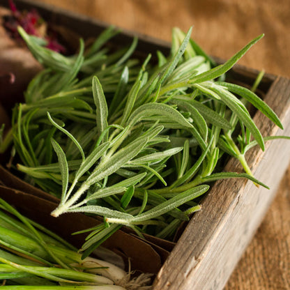 Rosemary