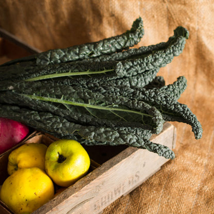Black Kale