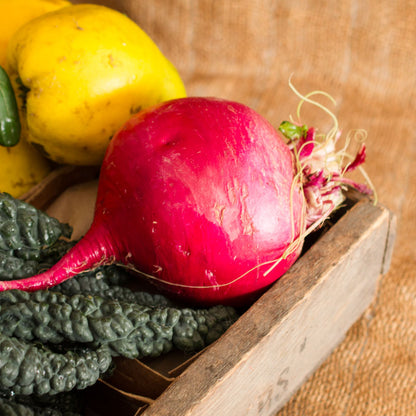 Pink Ajibeni Turnips