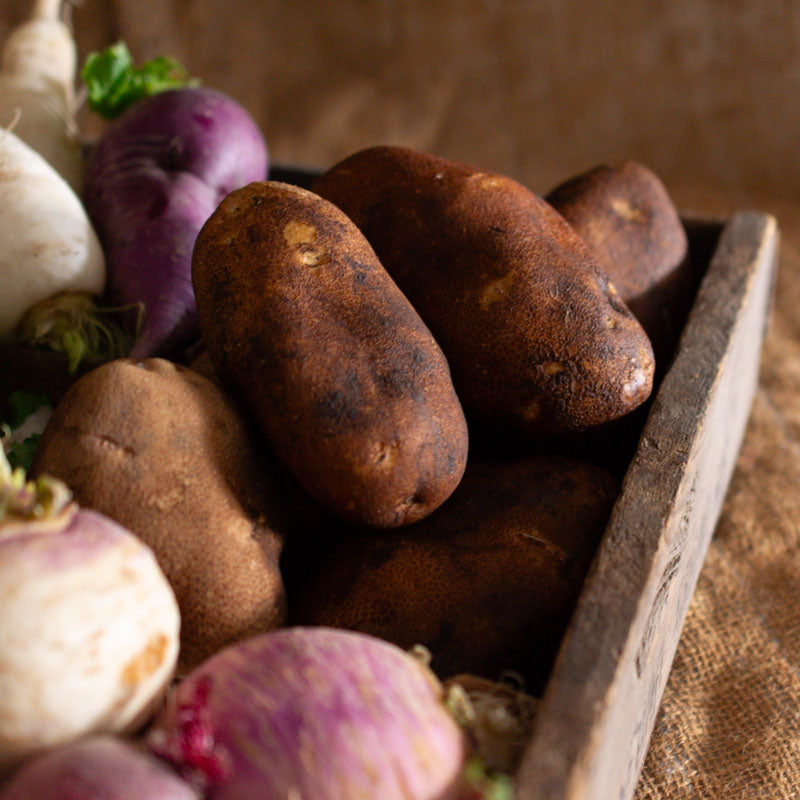 Russet Potatoes