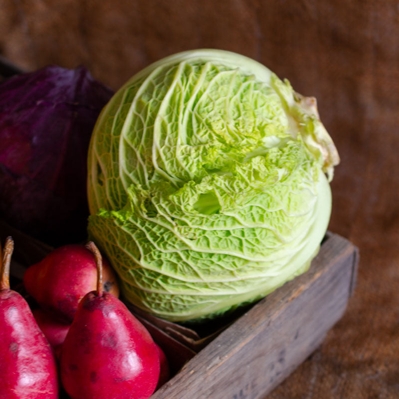 Savoy Cabbage