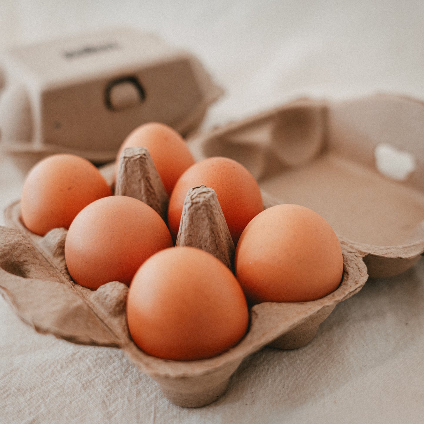 Pasture Raised Eggs - Half Dozen