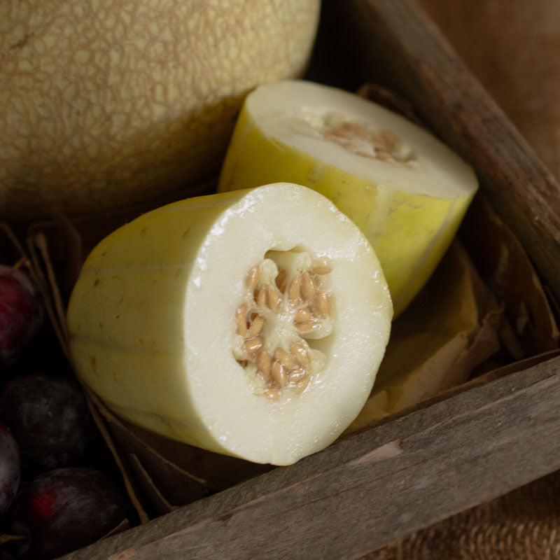 Sun Jewel Melon